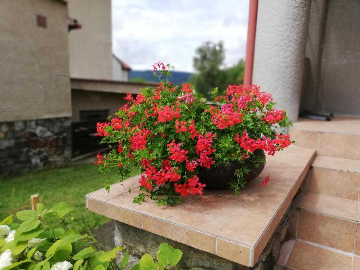 Villa Oliva Český Krumlov 外观 照片