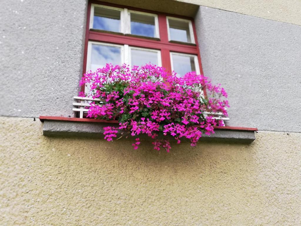 Villa Oliva Český Krumlov 外观 照片